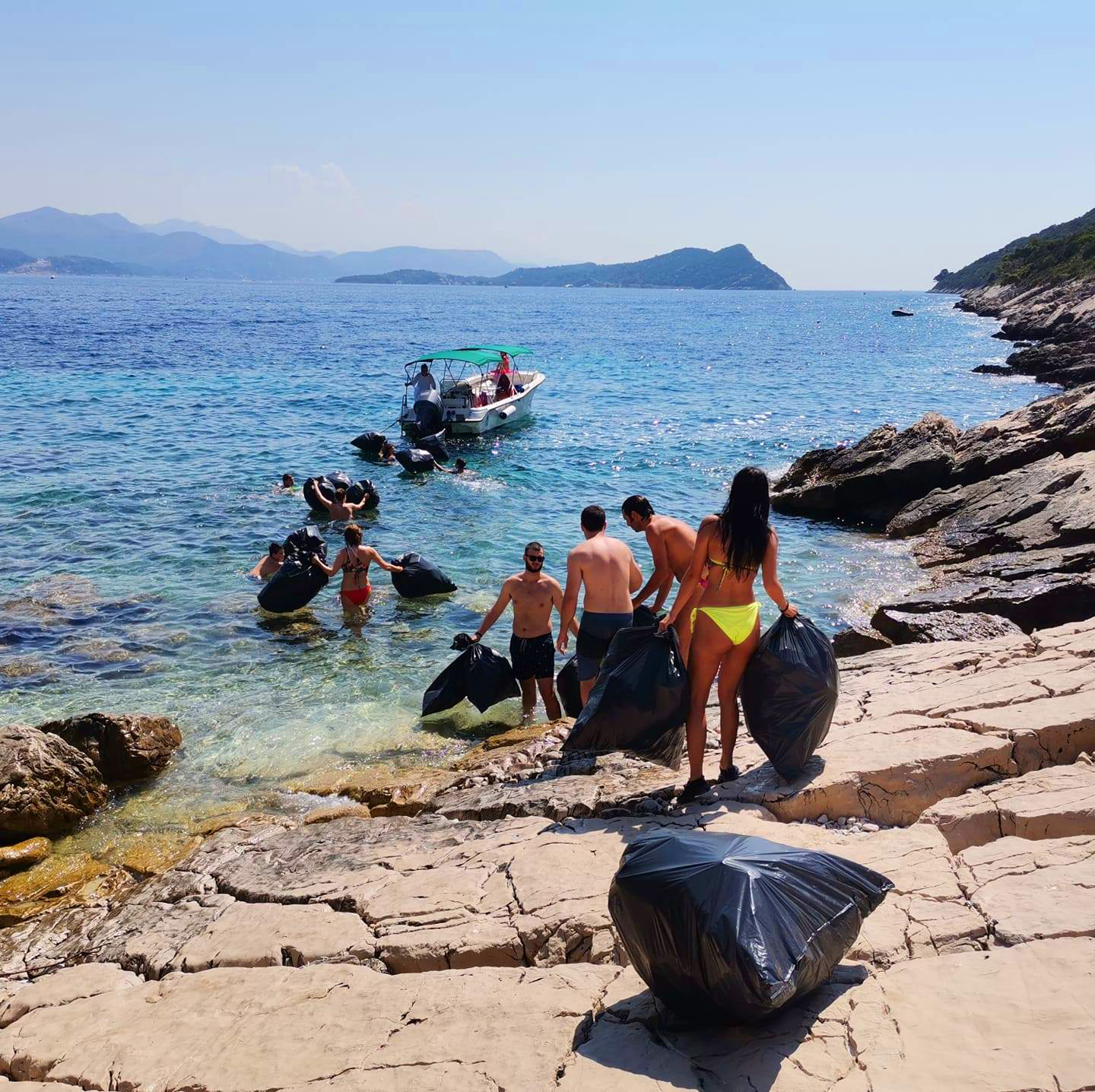 Green Sea Safari activity