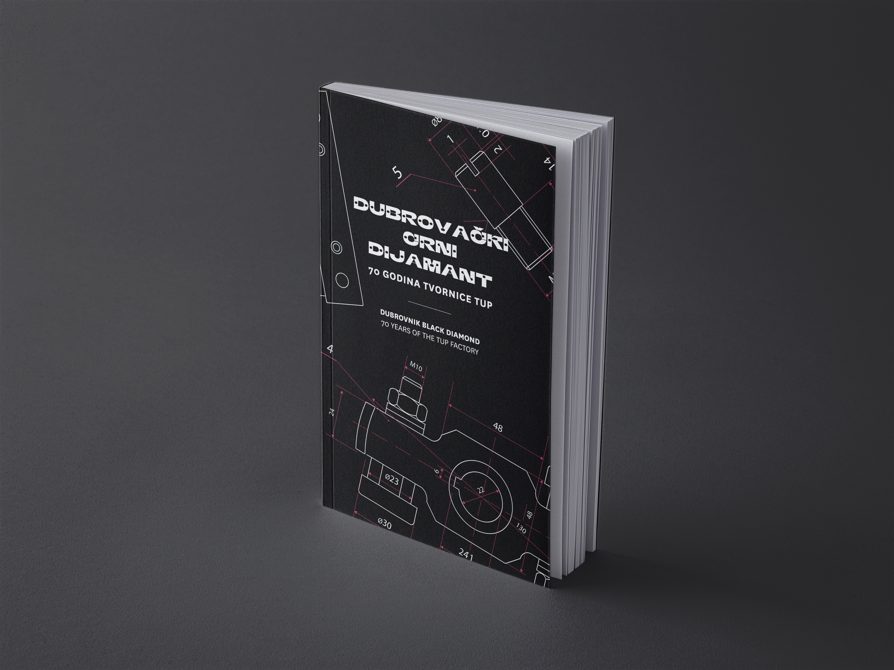 LONG MUSEUM NIGHT / Jan 26, 2024 / RED HISTORY MUSEUM  image 2